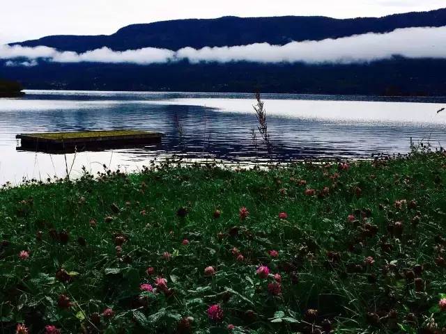 33.webp.jpg 91视频在线