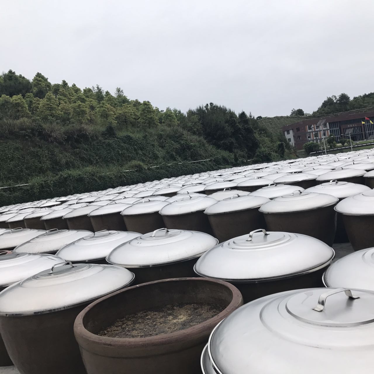 味.jpg 91视频在线