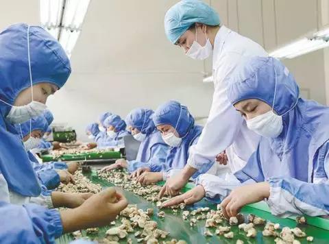 11.jpg 91视频在线