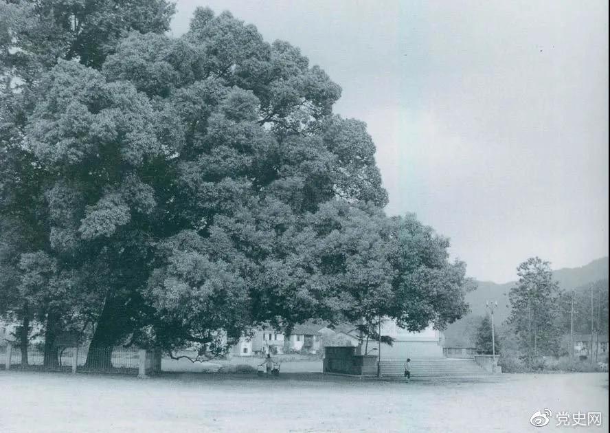 微信图片_20211011160220.jpg 91视频在线