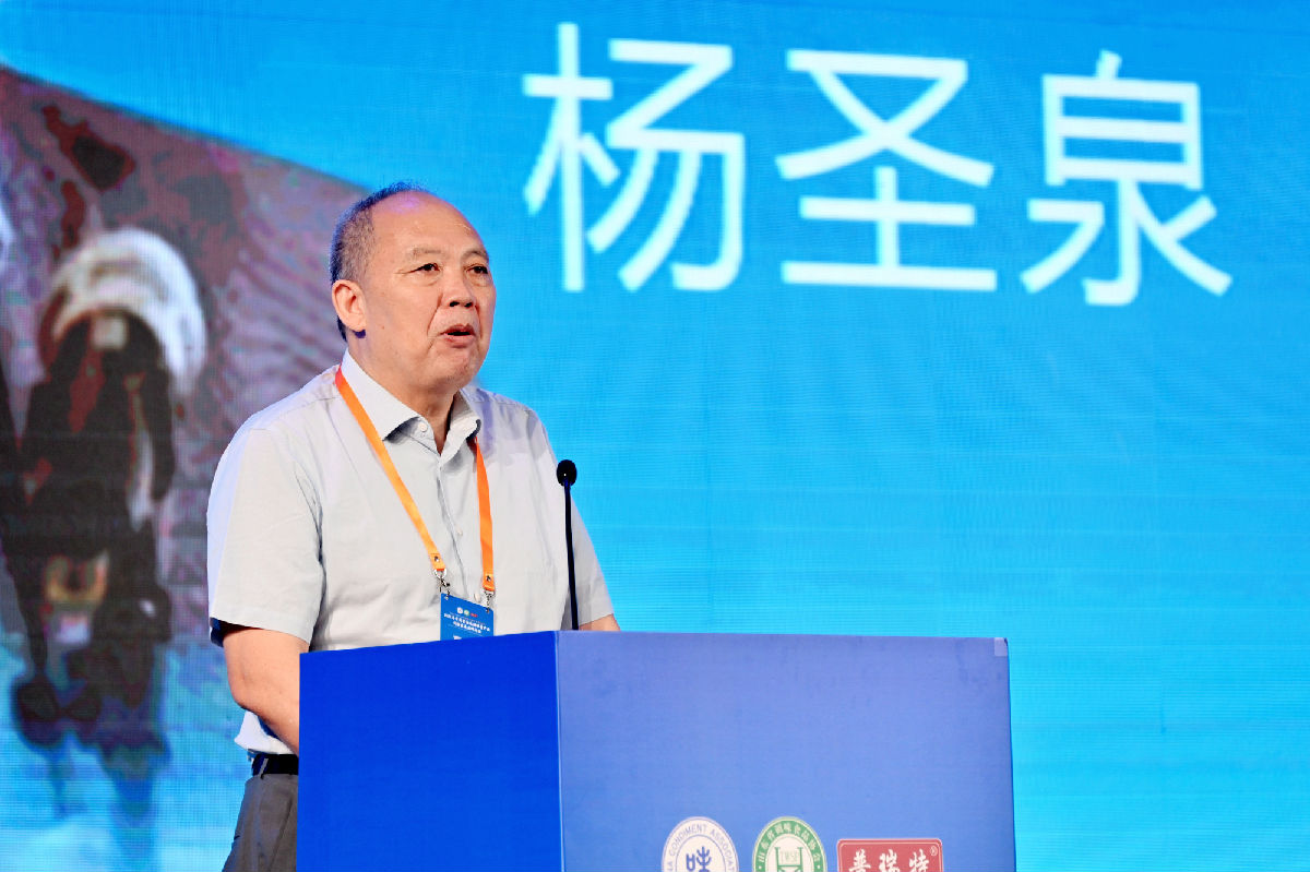 杨胜泉.jpg 91视频在线