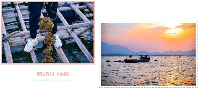 33.png 91视频在线