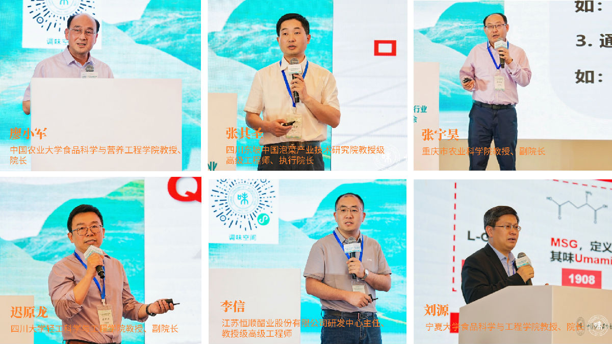 拼图1.png 91视频在线