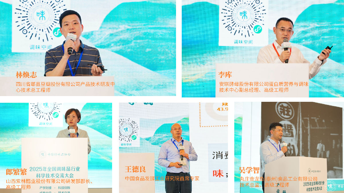 拼图2.png 91视频在线