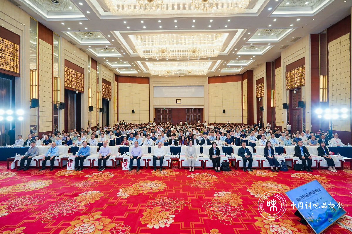 头图.jpg 91视频在线